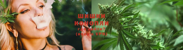 прущие грибы Верхнеуральск