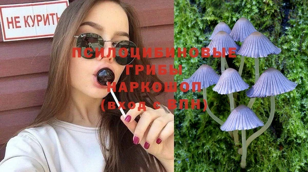прущие грибы Верхнеуральск