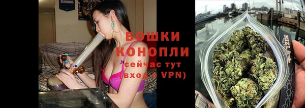 прущие грибы Верхнеуральск