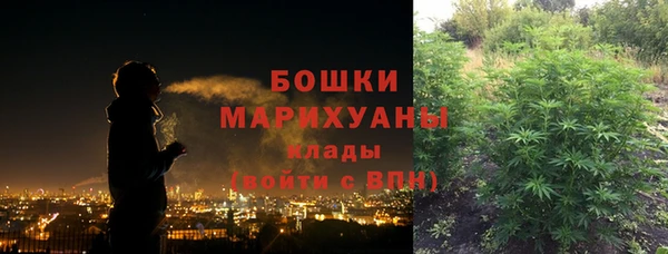 прущие грибы Верхнеуральск